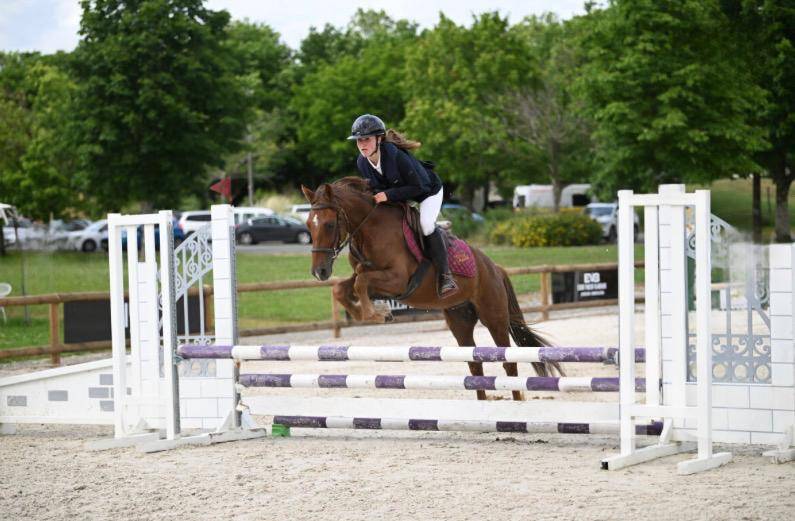 Ruin New Forest Te koop 2021 Vos ,  Birkilds Balboa