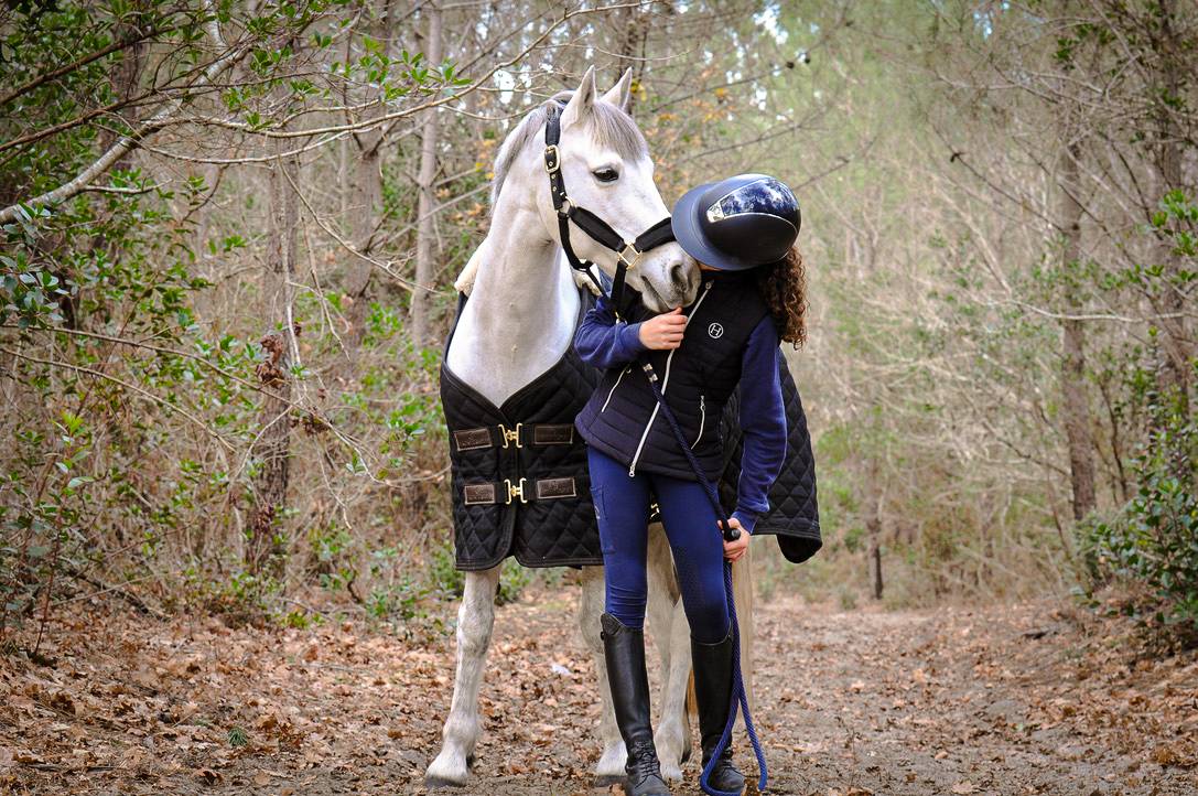 Ruin Connemara Te koop 2012 Schimmel ,  DON JUAN V'hn