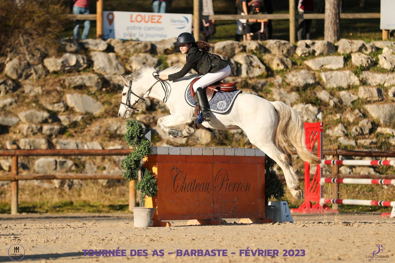 Ruin Connemara Te koop 2012 Schimmel ,  DON JUAN V'hn