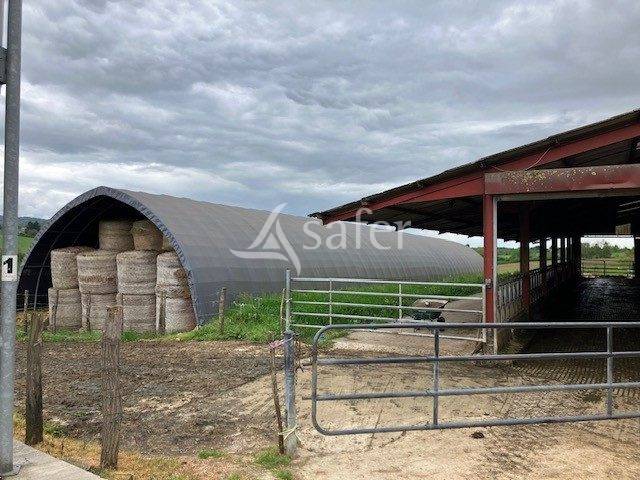 Melk exploitatie Koop Jura