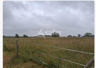 Landbouw bedrijf Koop Loire-Atlantique