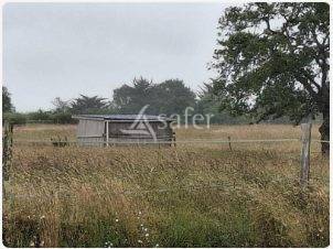 Landbouw bedrijf Koop Loire-Atlantique