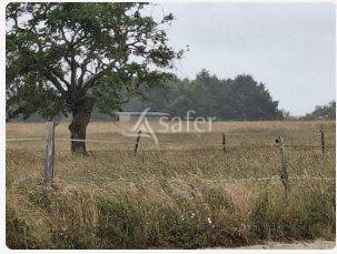 Landbouw bedrijf Koop Loire-Atlantique