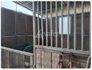 Landbouw bedrijf Koop Loire-Atlantique