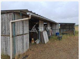 Landbouw bedrijf Koop Loire-Atlantique