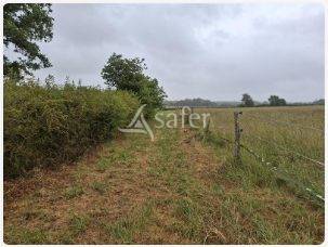 Landbouw bedrijf Koop Loire-Atlantique