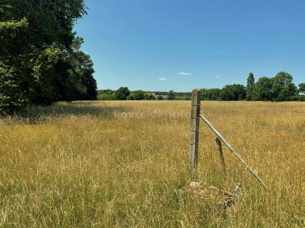 Hippisch vastgoed Koop Maine-et-Loire