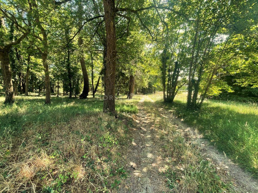 Hippisch vastgoed Koop Maine-et-Loire