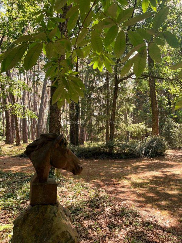 Hippisch vastgoed Koop Maine-et-Loire