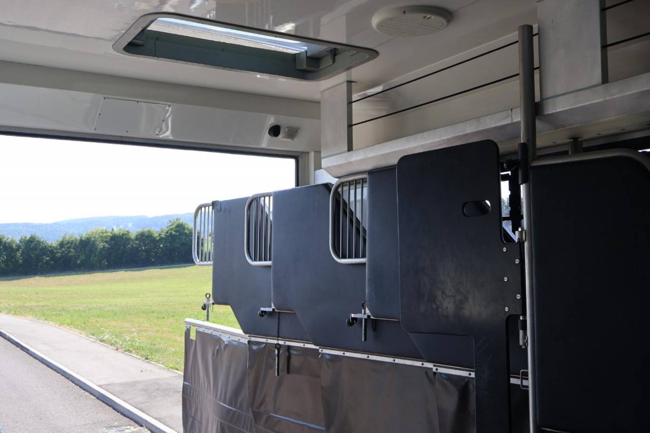 Zware paardenvrachtwagen (groot rijbewijs) AKX MERCEDES-ACTROS 2018 Tweedehands