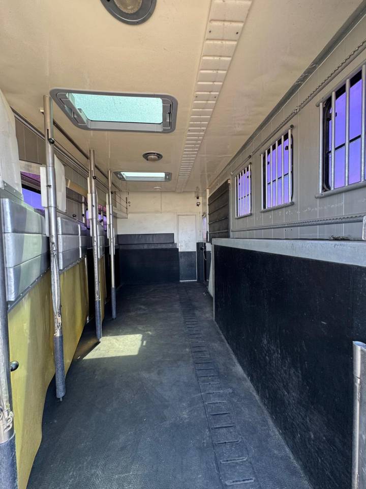 Zware paardenvrachtwagen (groot rijbewijs) Iveco STX 2007 Tweedehands