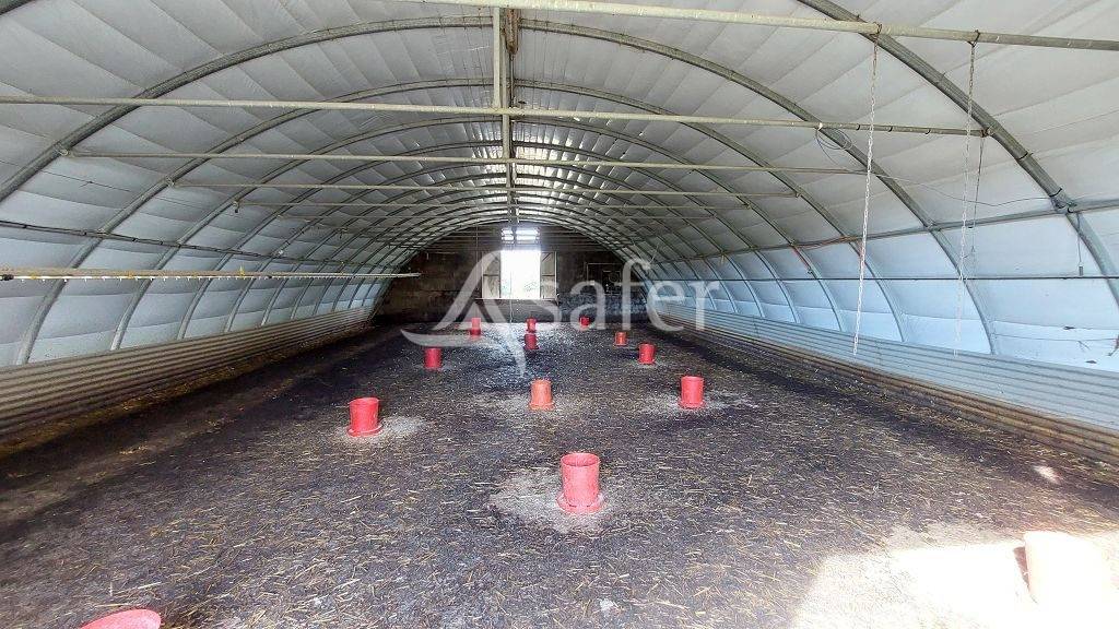 Bos exploitatie Koop Corrèze