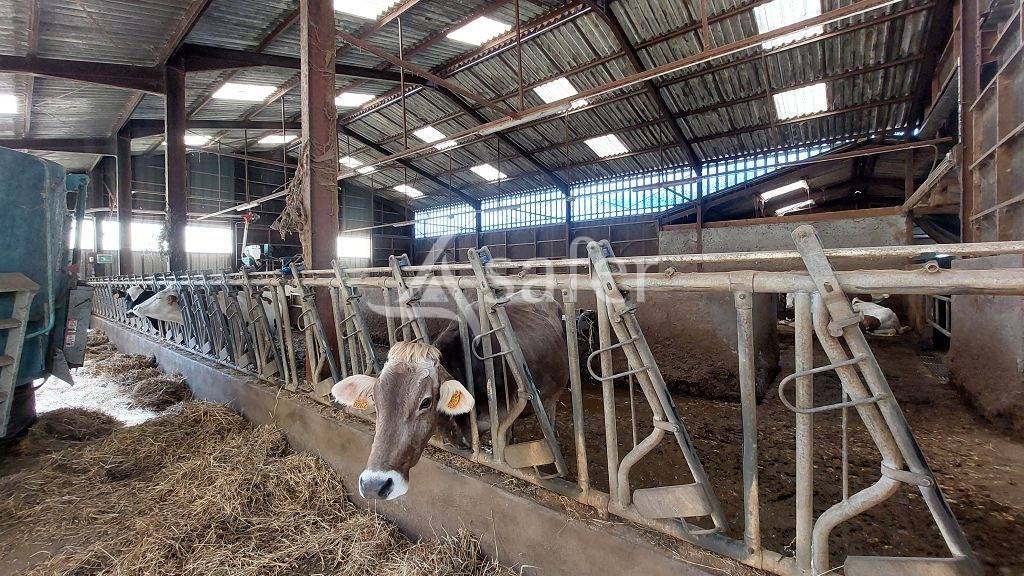 Bos exploitatie Koop Corrèze