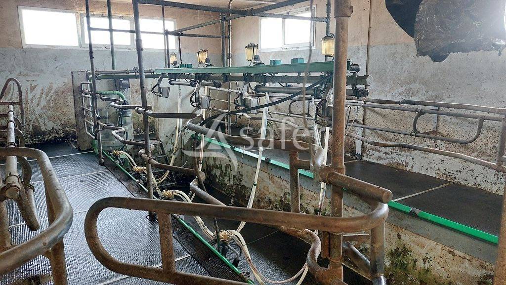 Bos exploitatie Koop Corrèze