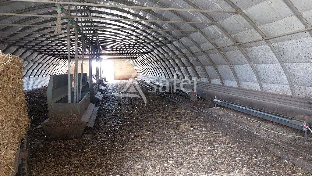 Bos exploitatie Koop Corrèze