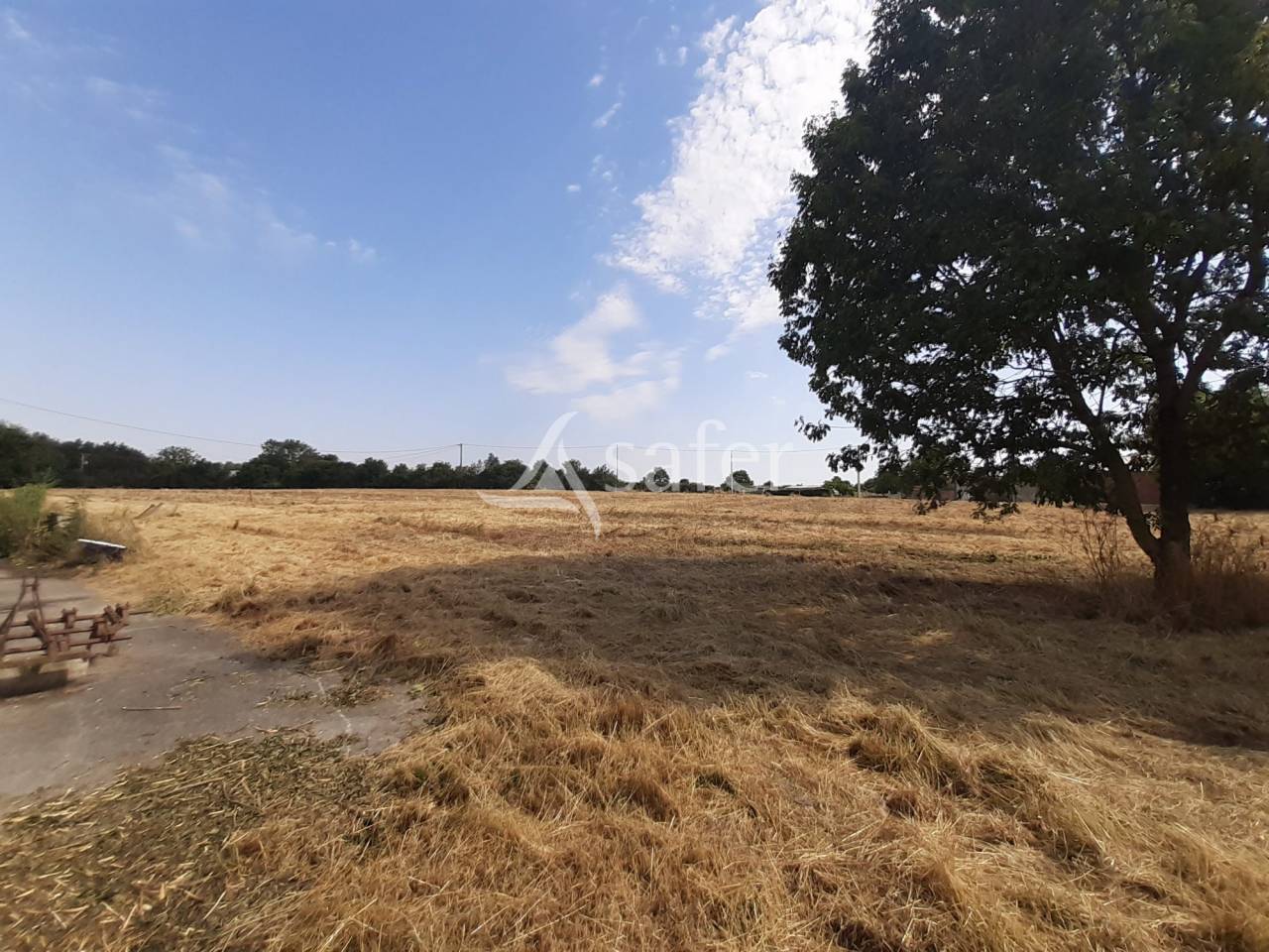 Landbouw bedrijf Koop Deux-Sèvres