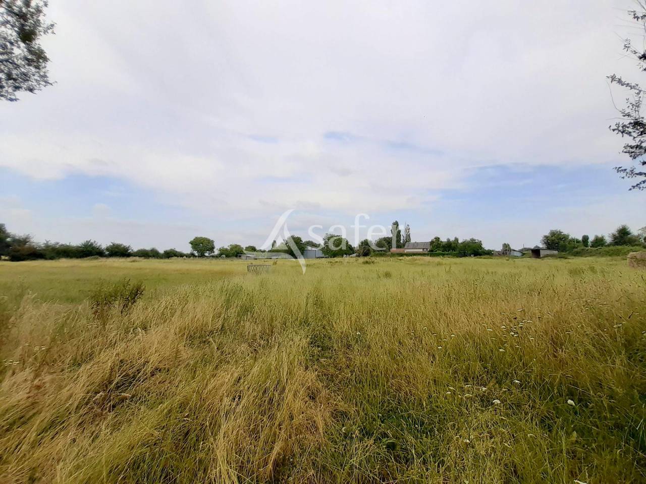 Ander plattelands vastgoed Koop Vienne