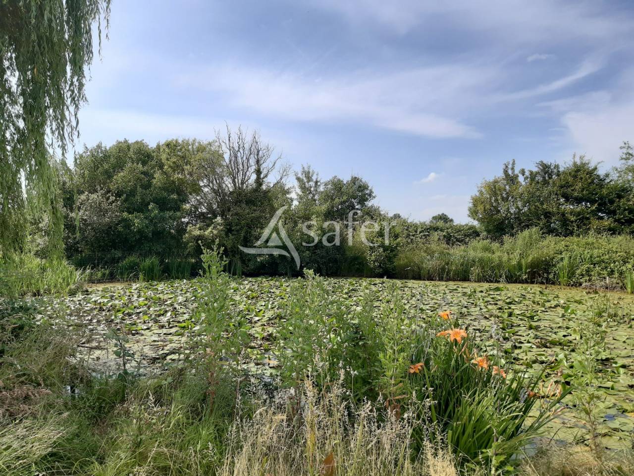 Ander plattelands vastgoed Koop Vienne