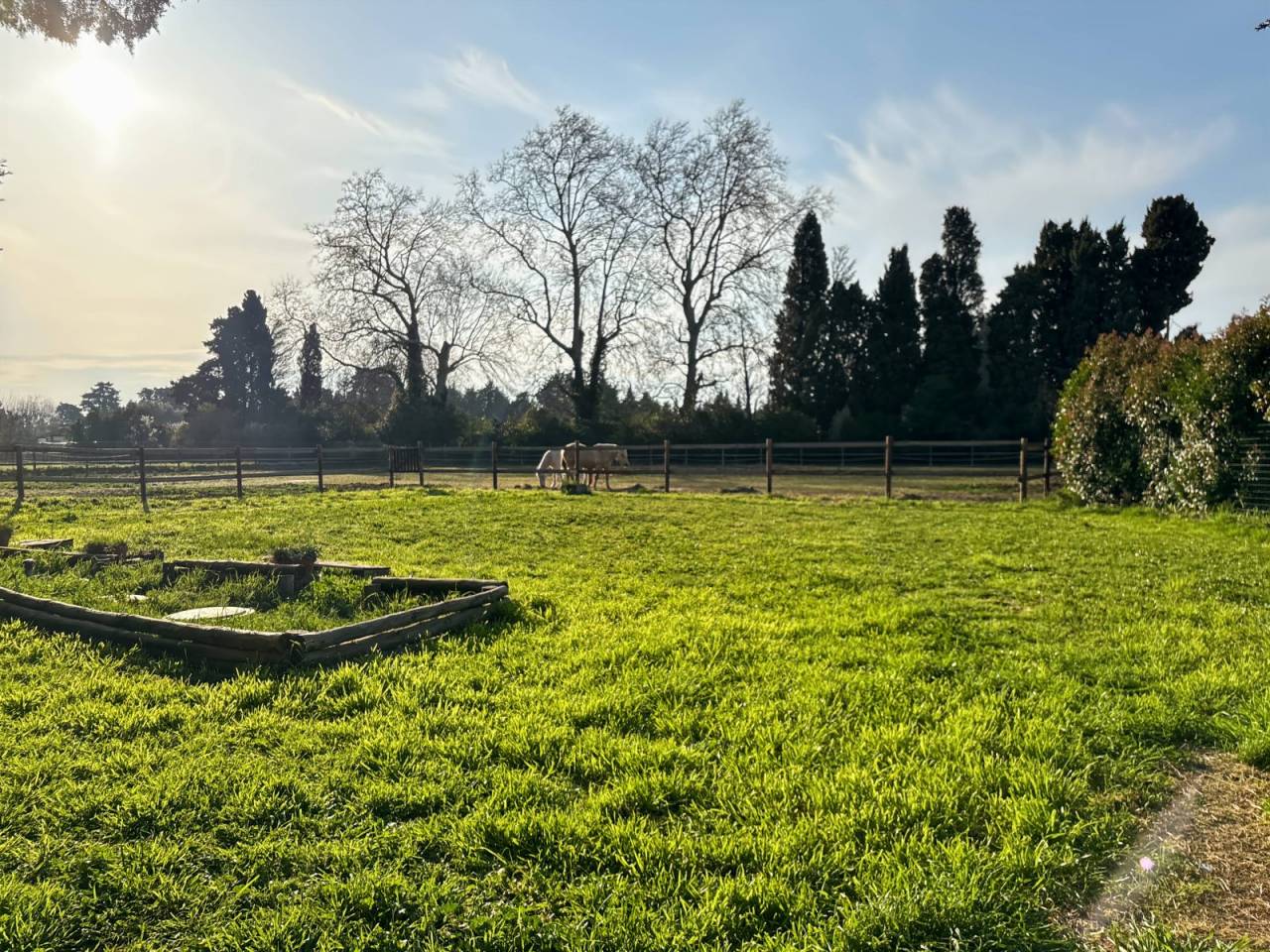 Hippisch vastgoed Koop Bouches-du-Rhône