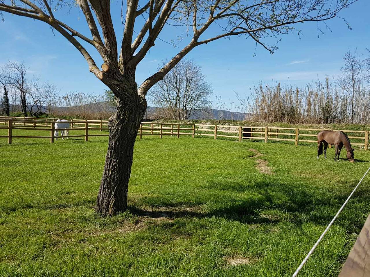 Groom, Concours - Vast contract onbepaalde tijd Voltijds - Vaucluse Frankrijk