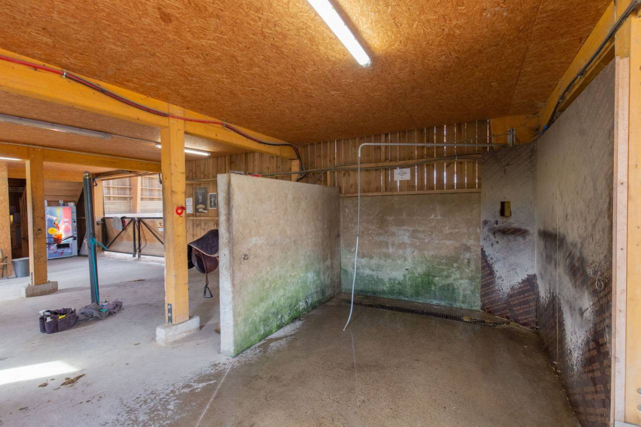 Eigenaren stal Koop Rhône