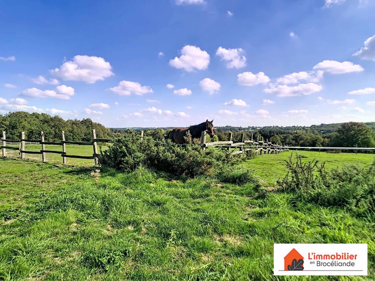 Mooi hippisch vastgoed Koop Ile-et-Vilaine