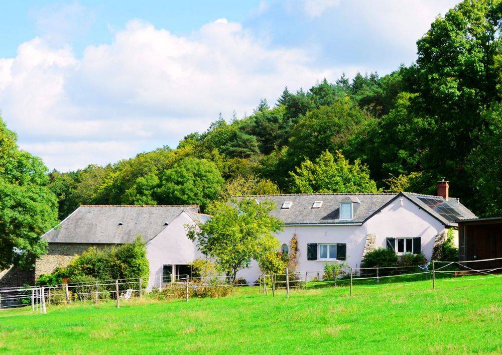 Mooi hippisch vastgoed Koop Sarthe