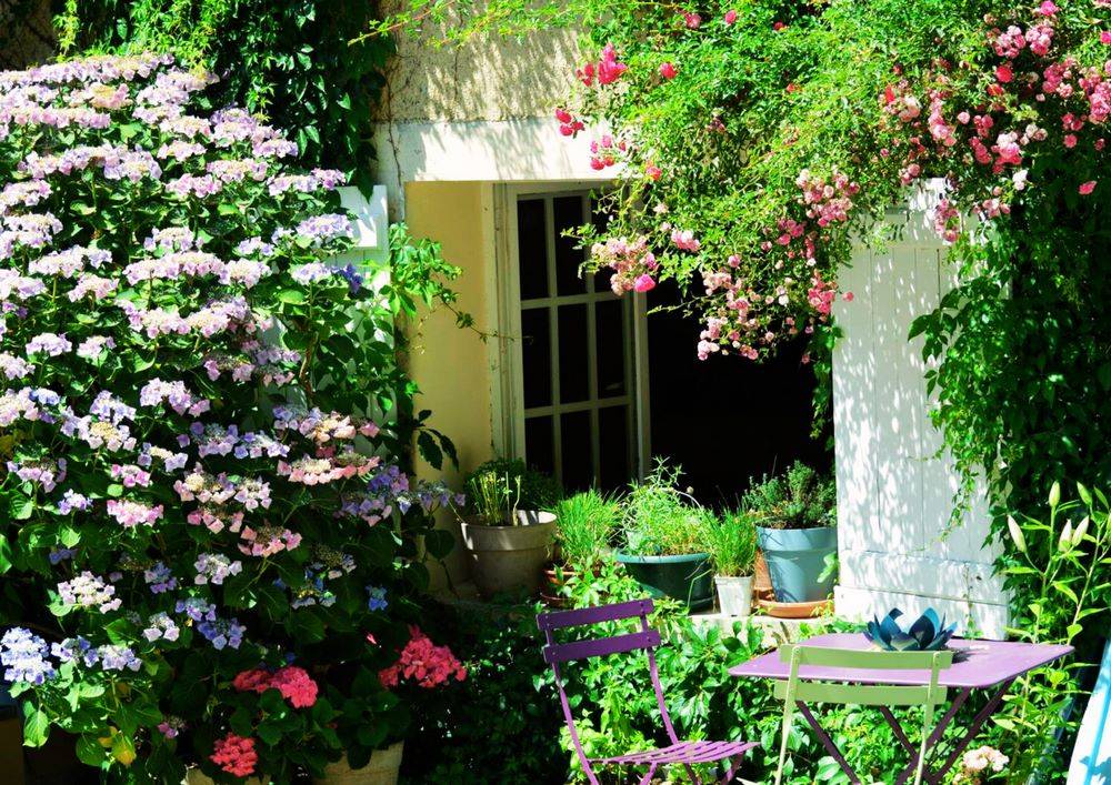 Mooi hippisch vastgoed Koop Sarthe