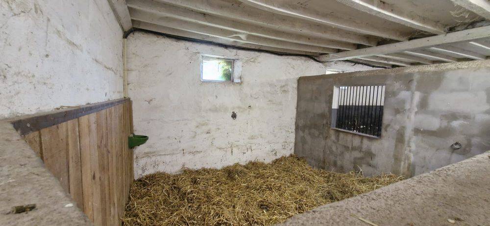 Mooi hippisch vastgoed Koop Sarthe