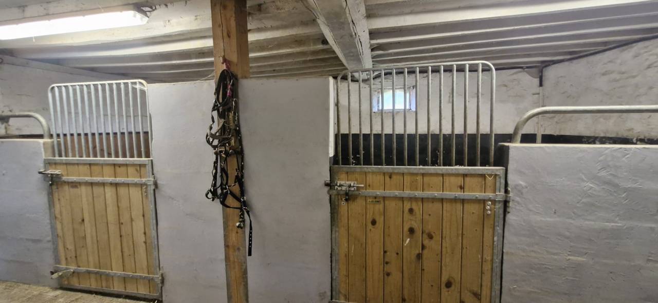 Mooi hippisch vastgoed Koop Sarthe