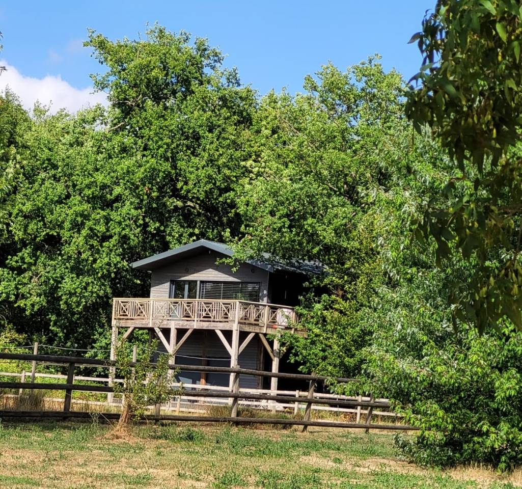 Mooi hippisch vastgoed Koop Charente-Maritime