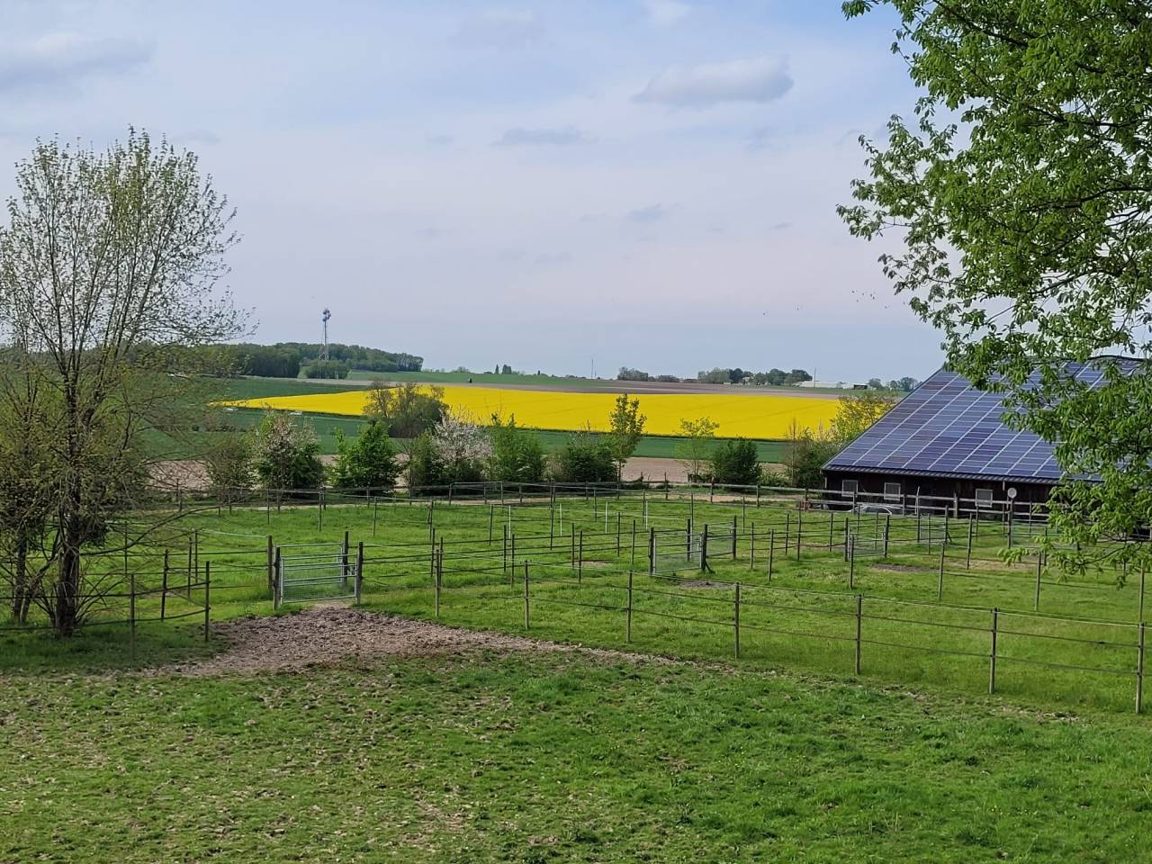 Mooi hippisch vastgoed Koop Charente-Maritime