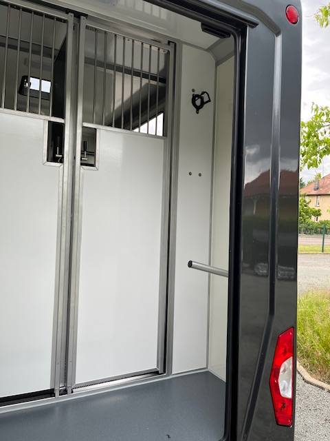 Kleine paardenvrachtwagen (B rijbewijs) STX Master 2025 2025 Nieuw