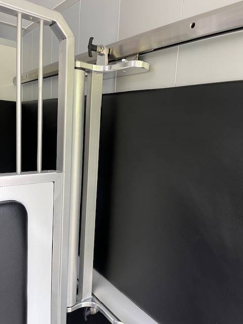 Kleine paardenvrachtwagen (B rijbewijs) STX Master 2025 2025 Nieuw