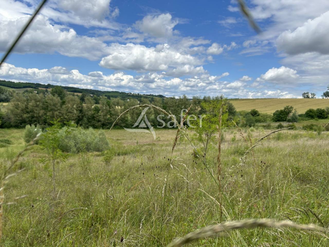 Landbouw bedrijf Koop Lot-et-Garonne