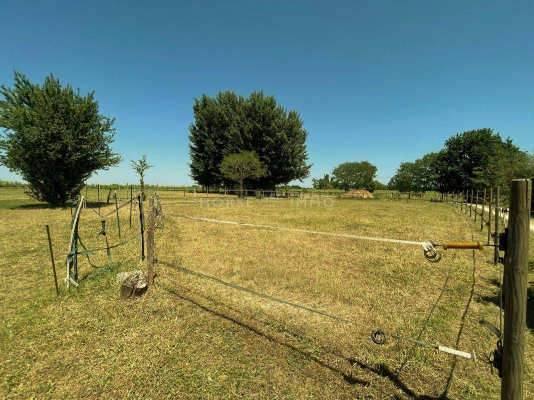 Hippisch vastgoed Koop Loir-et-Cher