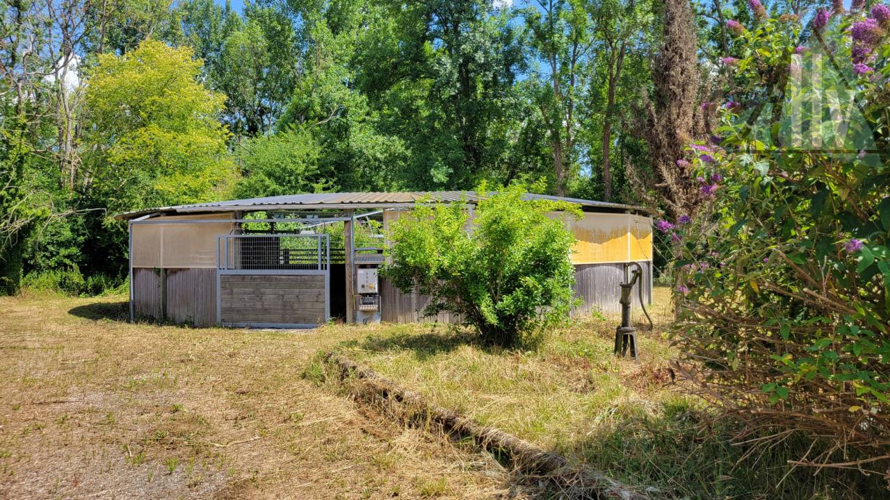 Eigenaren stal Koop Seine-et-Marne