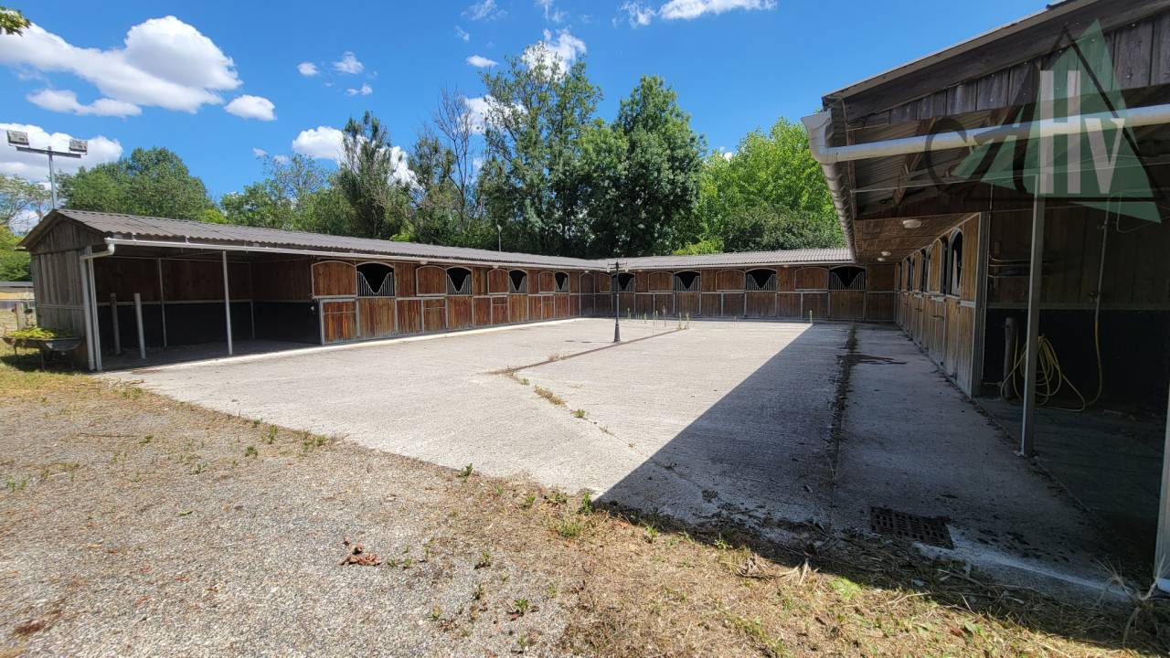 Eigenaren stal Koop Seine-et-Marne