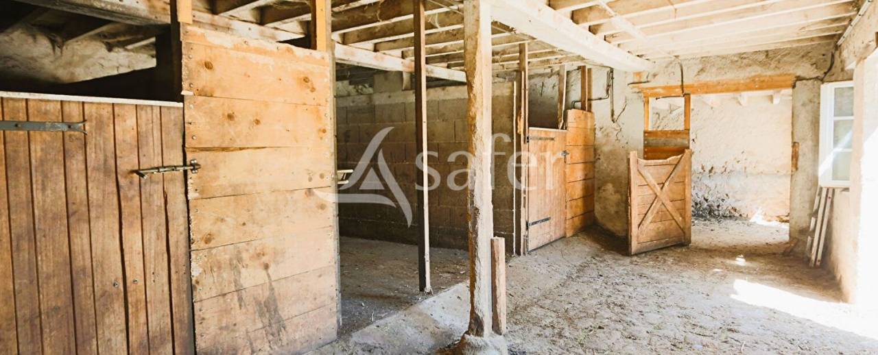 Hippisch vastgoed Koop Puy-de-Dôme