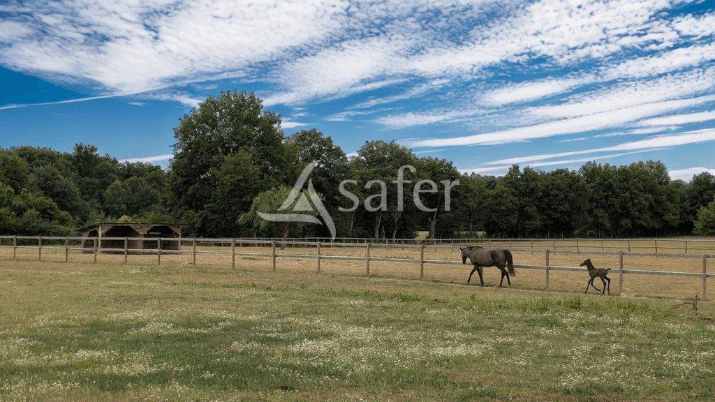 Hippisch vastgoed Koop Maine-et-Loire