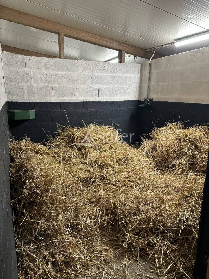 Hippisch vastgoed Koop Maine-et-Loire