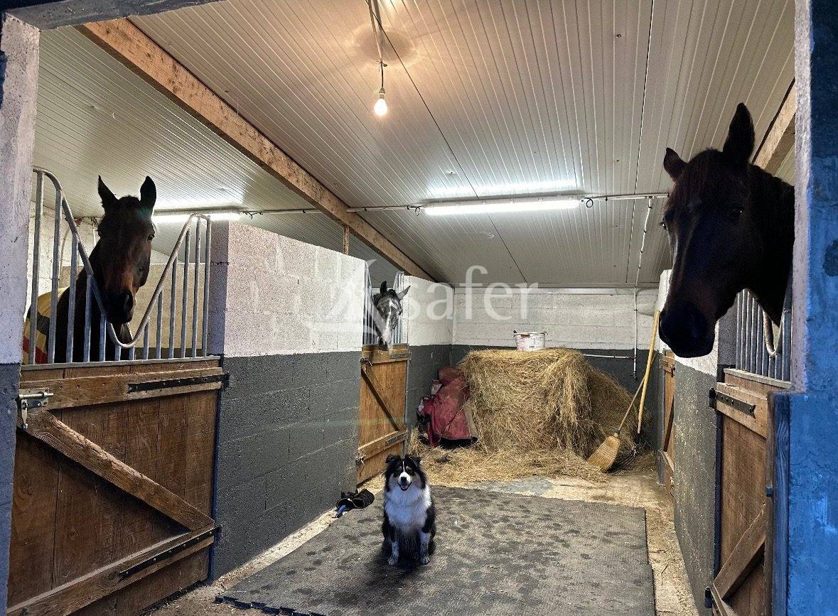 Hippisch vastgoed Koop Maine-et-Loire