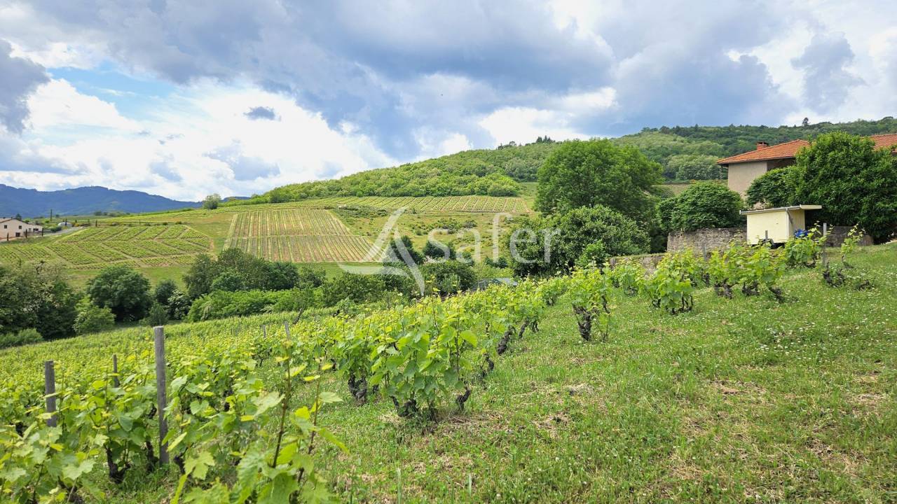 Wijn exploitatie Koop Rhône