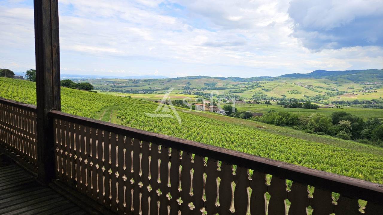 Wijn exploitatie Koop Rhône