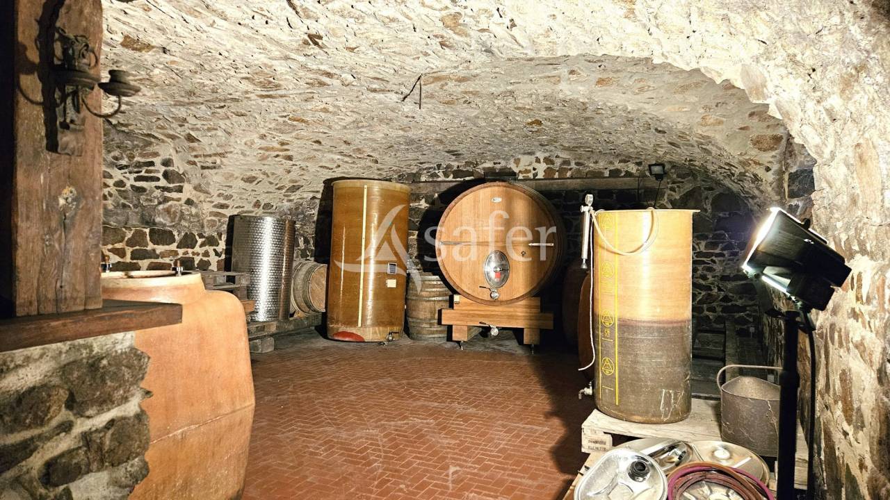 Wijn exploitatie Koop Rhône