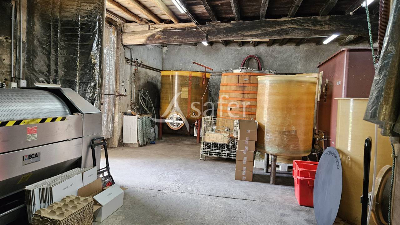 Wijn exploitatie Koop Rhône