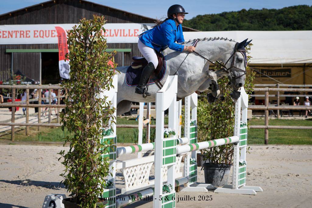 Merrie Selle Français Te koop 2018 Schimmel ,  Donatello du Bailly – SF