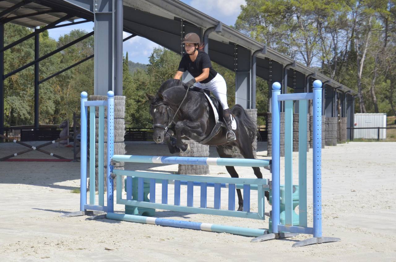 Dekhengst Arabisch volbloed Te koop 2017 Zwart ,  Ka Noon Rej