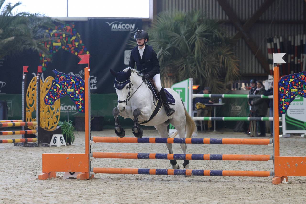 Merrie Connemara Te koop 2013 Schimmel