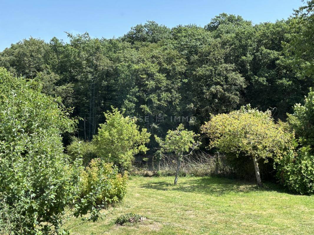 Hippisch vastgoed Koop Calvados